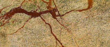 a rain forest marble countertop surface that has intricate brown veins that blends well with the shades of creams and rust