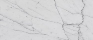 a Bianco Venatino marble countertop surface that features thin gray veining over the crisp white background