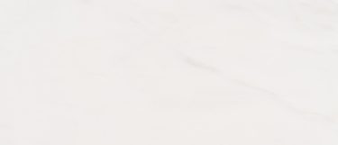 a Bianco Dolomite marble countertop surface that blends together arctic white with pale gray