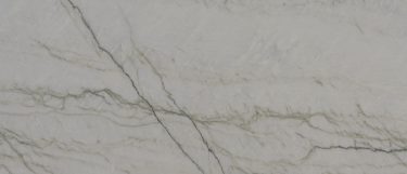 a Gray Canyon quartzite countertop surface that features veins in charcoal, grays, and creams over the gray background