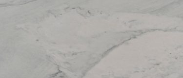 a Florida Wave quartzite countertop that geatures thin veins in charcoal over the creamy white and soft gray surface