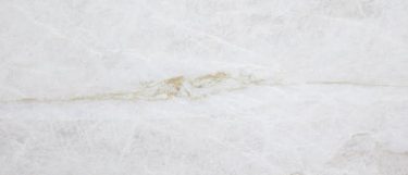 taj mahal quartzite countertop surface that features subtle gold veins over the sift white background