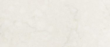 a Gioia Carrara quartz countertop surface that has warm gray veins over the creamy white background