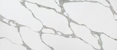 a Forza quartz countertop surface that has bold thick and thin vein details over the bright white background