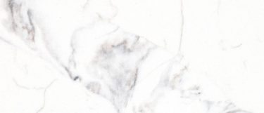 a Borghini quartz countertop surface that features stream veins over the white background