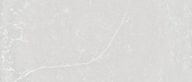 a Desert Silver quartz countertop surface that has veins over the light gray background