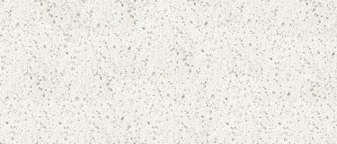 a Chipped Ice quartz countertop surface that features speckles over the white background