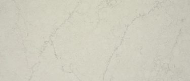 an Astor Grey quartz countertop surface that features veining over the gray background