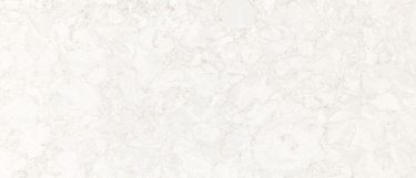 a Seacourt quartz countertop surface that has subtle swirling vein pattern of grays over the white background