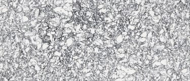a rose bay quartz countertop surface that has a black marble veining over the white base