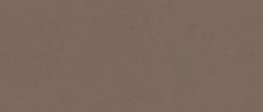 a Ramsey quartz countertop surface that has a brown shade of base with black specks