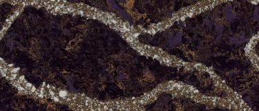 a Princetown quartz countertop surface that features striking grainy and veining pattern in brown, gold, and white over the black base