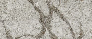 a Galloway quartz countertop that has light brown vein branching throughout its surface