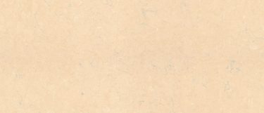 a Castlemartin quartz countertop surface that features a light design with subtle blue-gray striation vein details over the cream background