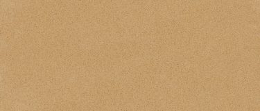 a Cambrian Gold quartz countertop surface that features black speckles over the creamy gold base