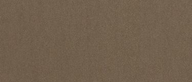 a Brigstone quartz countertop surface that features silver and gold sparkly speckles over the golden brown base