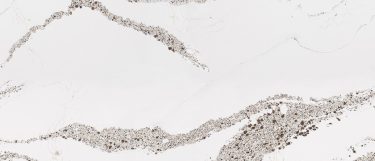 an Annicca quartz countertop surface that features gray speckled veins over the white background