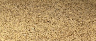 a tanami granite countertop that has a cream colored surface with yellow tones and grained speckles of cream and black