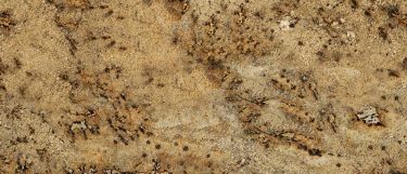 a Lapidus granite countertop surface that has a dominant brown color with rich golds and small flecks in grays and creams