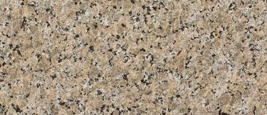a Ferro Gold granite countertop that features black veins over the warm gold surface