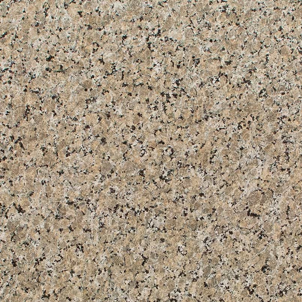 a Ferro Gold granite countertop that features black veins over the warm gold surface