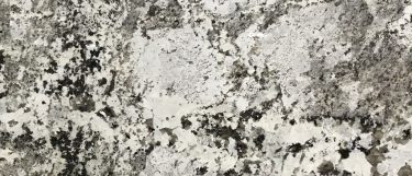 an Alaska White granite countertop surface that features a design that has a frosty blend of silver and white with warm neutral hues