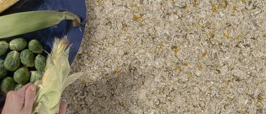 corn and other vegetables over the chantilly taupe countertop surface