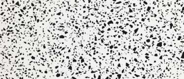a vail village quartz countertop that has a classic black and white combination with a range of black specks over its surface